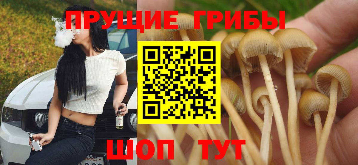 Прокопьевск  Галлюциногенные грибы мухоморы  Вход с VPN 